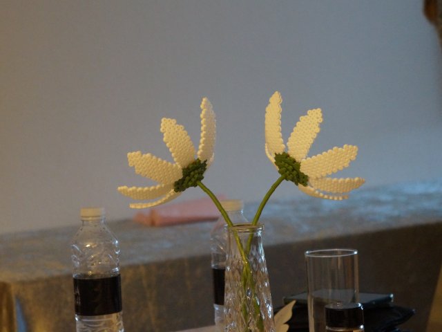 dsc03900